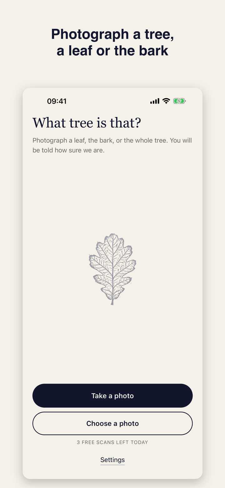 Photograph a tree, a leaf or the bark